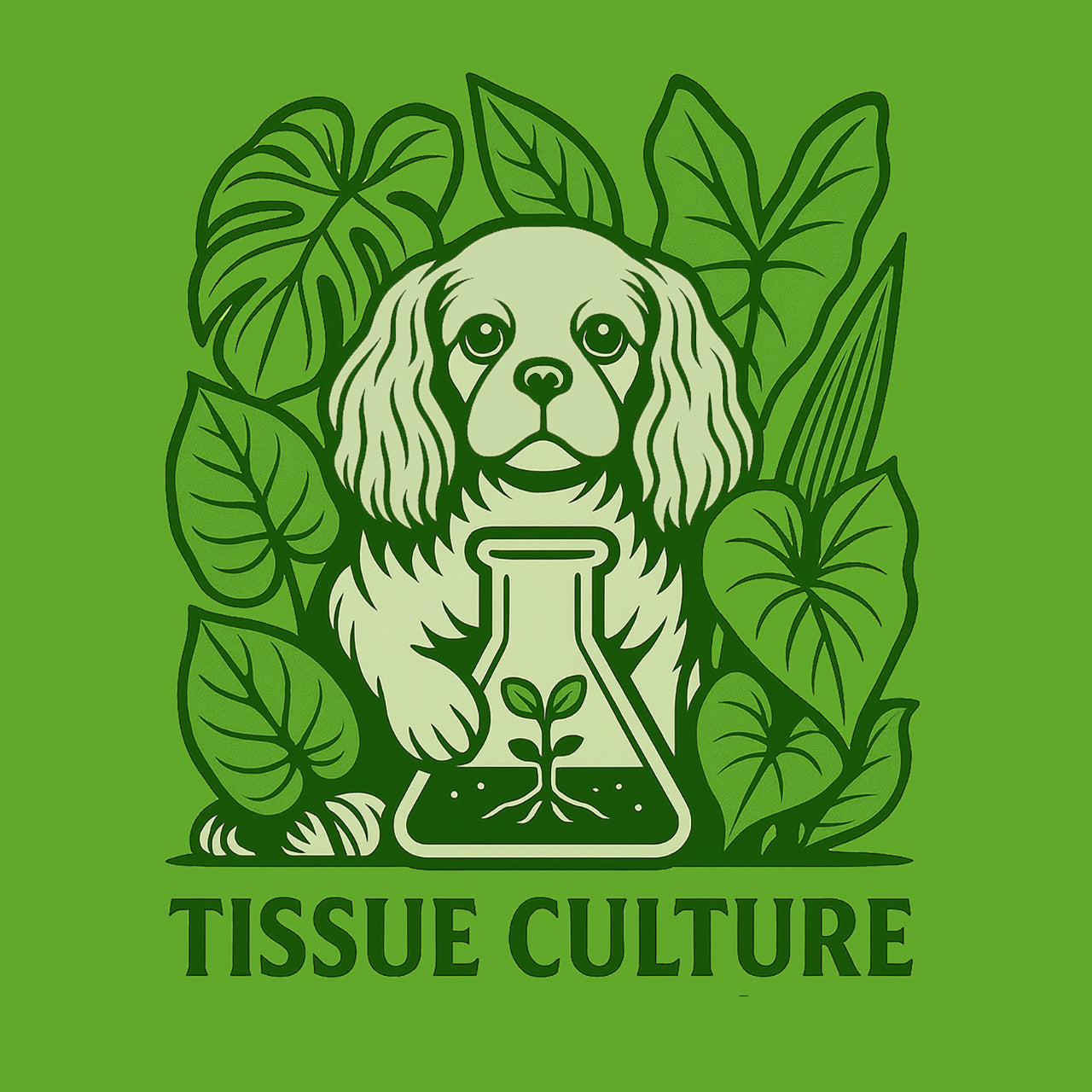 Tissue Cultures