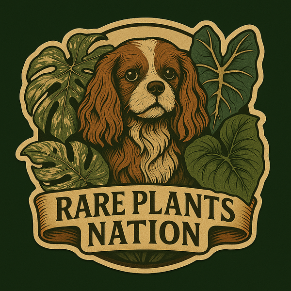 Rare Plants Nation