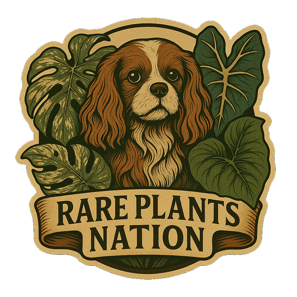 Rare Plants Nation